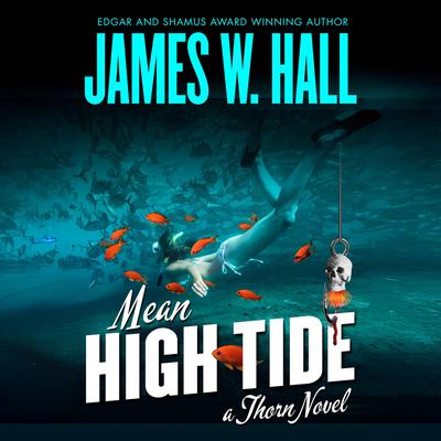 Mean High Tide by James W. Hall audiobook