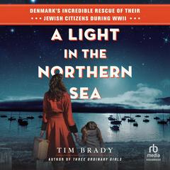 A Light in the Northern Sea by Tim Brady audiobook