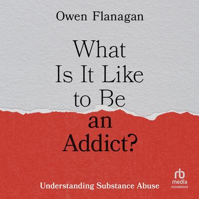 What Is It Like to Be an Addict? by Owen Flanagan audiobook