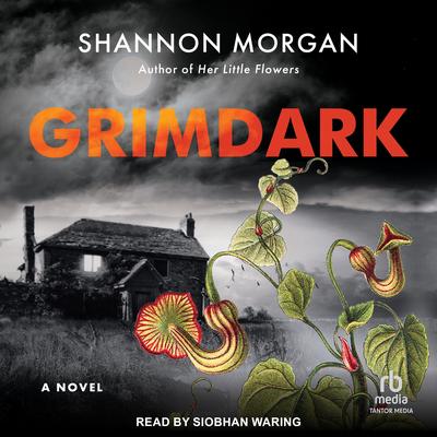 Grimdark by Shannon Morgan audiobook