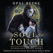 A Soul to Touch by  Opal Reyne audiobook