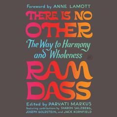 There Is No Other by Ram Dass audiobook
