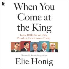 When You Come at the King by Elie Honig audiobook
