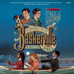 The Valley of Lies by Ali Standish audiobook