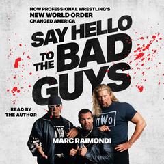 Say Hello to the Bad Guys by Marc Raimondi audiobook