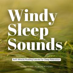Windy Sleep Sounds by Sleeptime Publications audiobook