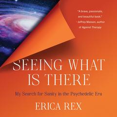 Seeing What Is There by Erica Rex audiobook