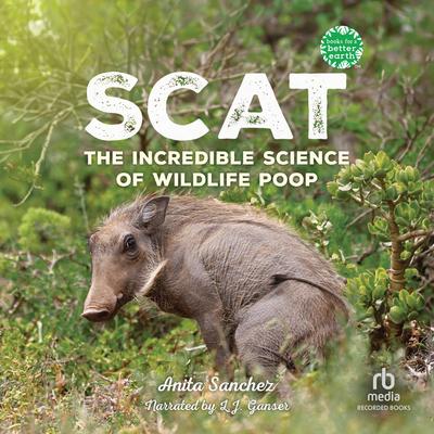 Scat by Anita Sanchez audiobook