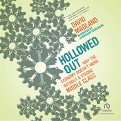 Hollowed Out by  David Madland audiobook