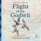 Flight of the Godwit by  Bruce M. Beehler audiobook