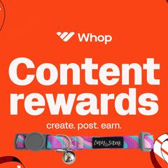 Content Rewards - Teenagers revolutionizing content distribution on WHOP making over $125,000 a month by Vines Graener audiobook