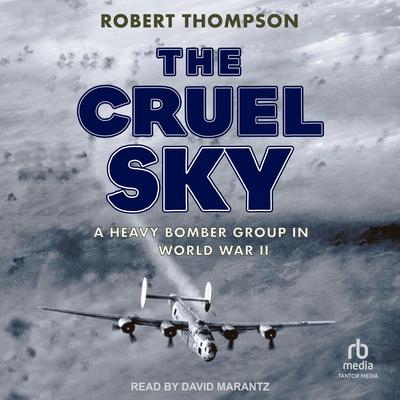 The Cruel Sky by Robert Thompson audiobook
