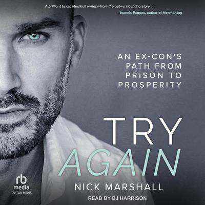 Try Again by Nick Marshall audiobook