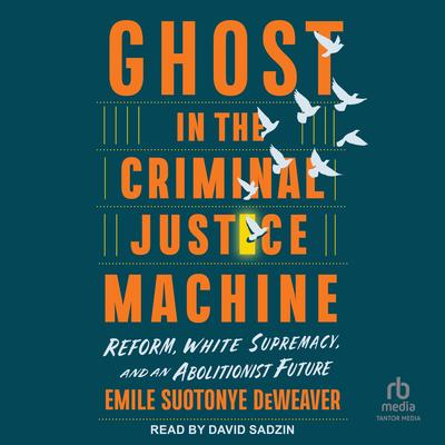 Ghost in the Criminal Justice Machine by Emile Suotonye DeWeaver audiobook