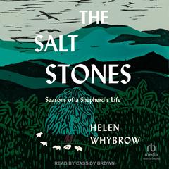 The Salt Stones by Helen Whybrow audiobook