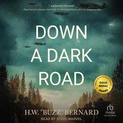 Down a Dark Road by H.W. “Buzz” Bernard audiobook