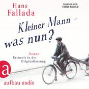 Kleiner Mann - was nun? (Gekürzte Hörbuchfassung) by  Hans Fallada audiobook