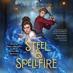 Steel & Spellfire by Laura E. Weymouth audiobook