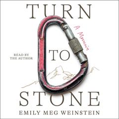 Turn to Stone by Emily Meg Weinstein audiobook
