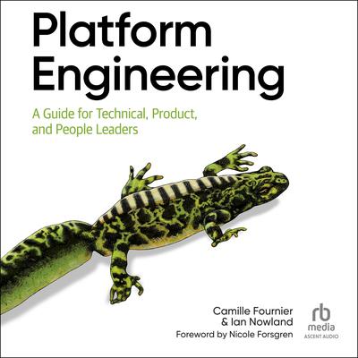 Platform Engineering by Ian Nowland audiobook