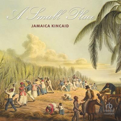 A Small Place by Jamaica Kincaid audiobook