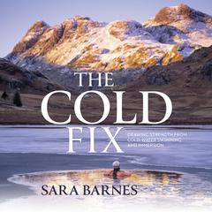 The Cold Fix by Sara Barnes audiobook