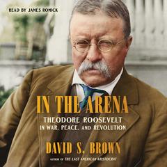 In the Arena by David S. Brown audiobook
