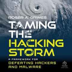 Taming the Hacking Storm by Roger A. Grimes audiobook
