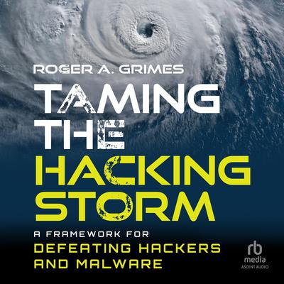 Taming the Hacking Storm by Roger A. Grimes audiobook