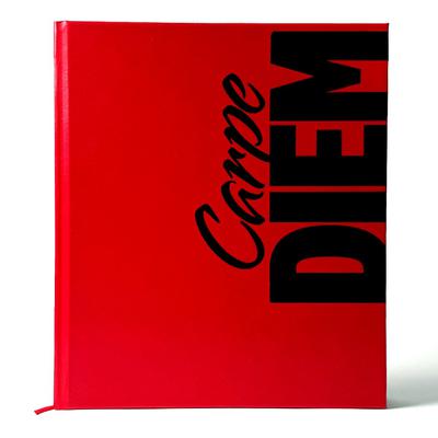 Heroic Carpe Diem Journal by  audiobook