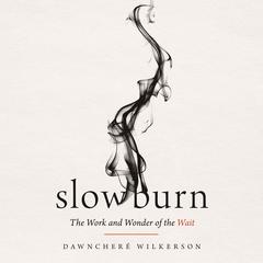 Slow Burn by DawnCheré Wilkerson audiobook
