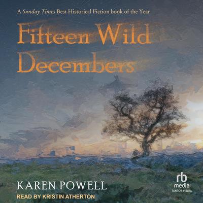 Fifteen Wild Decembers by Karen Powell audiobook