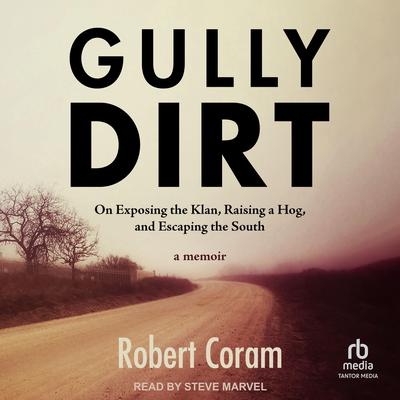 Gully Dirt by Robert Coram audiobook