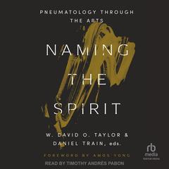 Naming the Spirit by W. David O. Taylor audiobook
