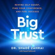 Big Trust by  Shadé Zahrai audiobook