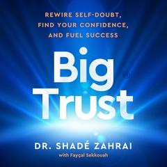 Big Trust by Shadé Zahrai audiobook