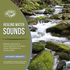 Healing Water Sounds: Babbling Brooks & Flowing Rivers for Deep Sleep, Meditation & Stress Relief by Mindful Moments - Nature Sounds - Ambient Sounds audiobook