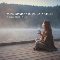 Sons Apaisants de la Nature (Sans Musique) pour un Sommeil Profond, Méditation et Relaxation by Sons Apaisants de la Nature audiobook