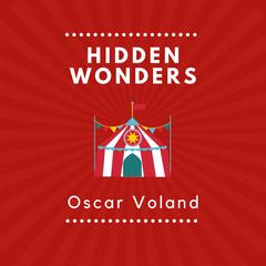 Hidden Wonders by Oscar Voland audiobook