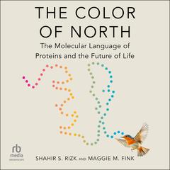 The Color of North by Shahir S. Rizk audiobook