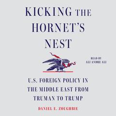 Kicking the Hornet's Nest by Daniel E. Zoughbie audiobook