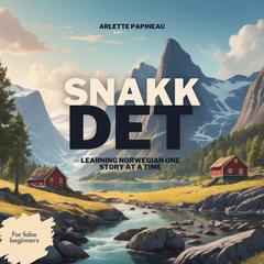 Snakk Det by Arlette Papineau audiobook