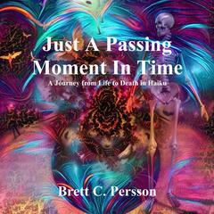 Just A Passing Moment In Time by Brett C. Persson audiobook
