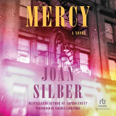 Mercy by Joan Silber audiobook