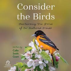Consider the Birds by Callie Smith Grant audiobook