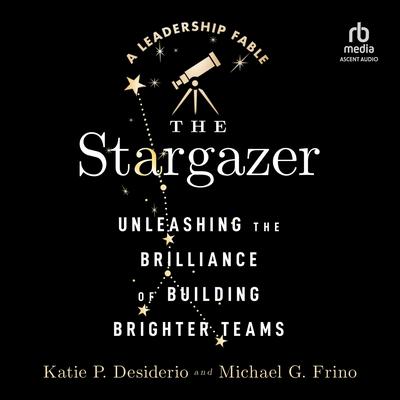 The Stargazer by Katie P. Desiderio audiobook