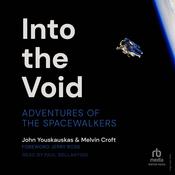 Into the Void by  Melvin Croft audiobook