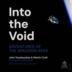 Into the Void by Melvin Croft audiobook