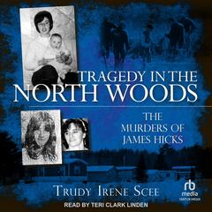Tragedy in the North Woods by Trudy Irene Scee audiobook