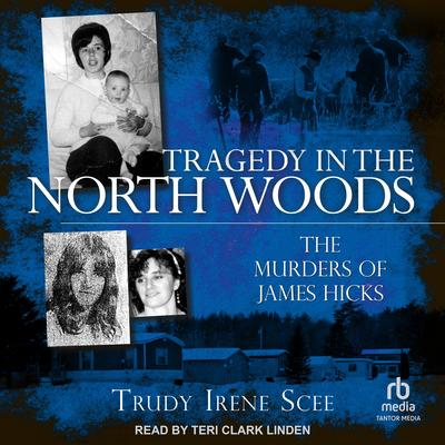Tragedy in the North Woods by Trudy Irene Scee audiobook